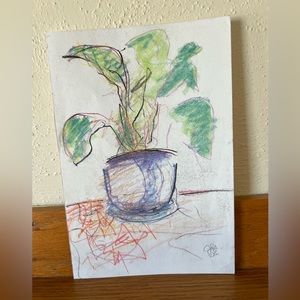 Chalk Plant Drawing by Jen Sinkler